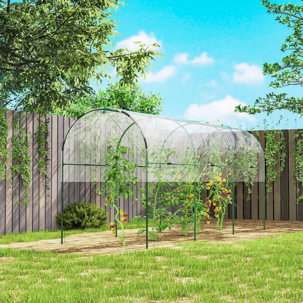 Tomatenschutz-Tunnel mit Metallgestell und Folie, 171 Zentimeter hoch, offene Seiten für Luftzirkulation, Schutz vor Regen und Vögeln.
