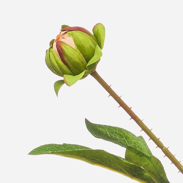 Künstliche Blütenknospe mit grünen Blättern und bestacheltem Stiel für die Innendekoration.