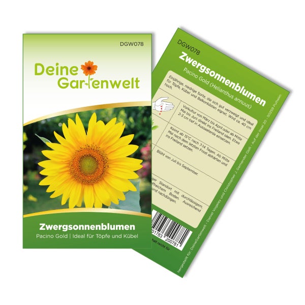 Zwergsonnenblume Pacino Gold Samen von Deine Gartenwelt