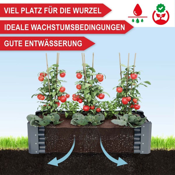 Hochbeet mit Tomatenpflanzen im Querschnitt zeigt Wurzelraum und Entwässerung mit Symbolen für ideale Wachstumsbedingungen.