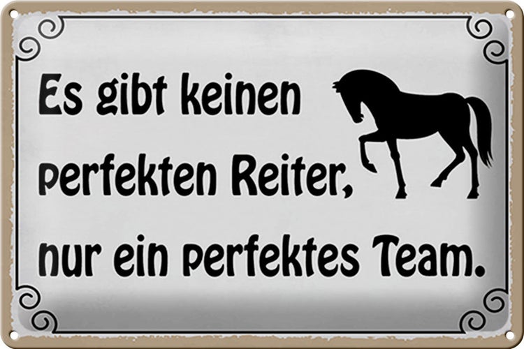 Blechschild Spruch 30x20cm es gibt keinen perfekten Reiter
