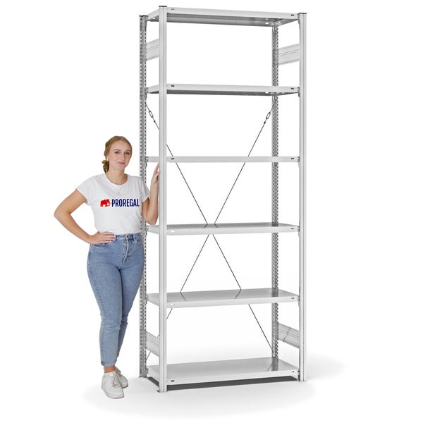 PROREGAL Fachbodenregal Stecksystem T-Profil Light-Duty Grundregal HxBxT 250 x 100 x 40 cm 6 Ebenen Fachlast 145 kg Einseitig Nutzbar Lichtgrau