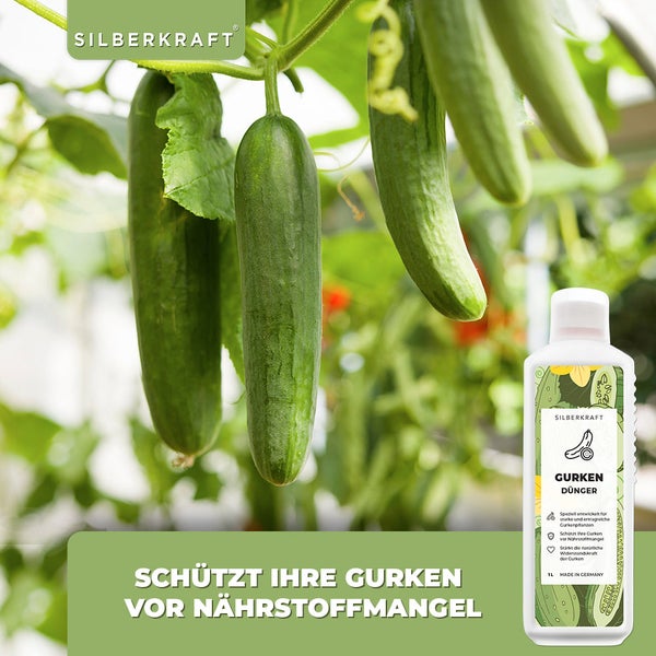 SILBERKRAFT Gurken Dünger – Für Gurkenpflanzen – NPK Flüssigdünger – 1 Liter