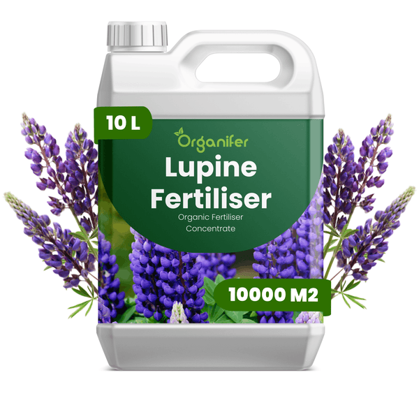 Organifer Lupinen-Dünger, 10 Liter Kanister, organisches Düngerkonzentrat für circa 10000 Quadratmeter.