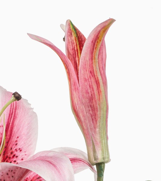 Künstlicher Magnolienzweig mit weißen Blüten und gelber Mitte an braunen Ästen.