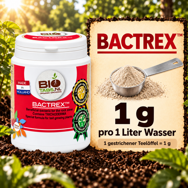 Bactrex organischer Pflanzenzusatz mit nützlichen Bakterien und Trichoderma von BioTabs in einer Dose mit Dosierlöffel und Anwendungshinweis.