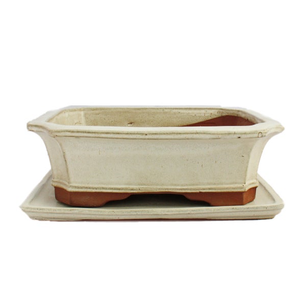 Bonsai-Schale mit Unterteller Gr. 5 - hellbeige - eckig - Modell G4 - L 31cm - B 23cm - H 9,5 cm