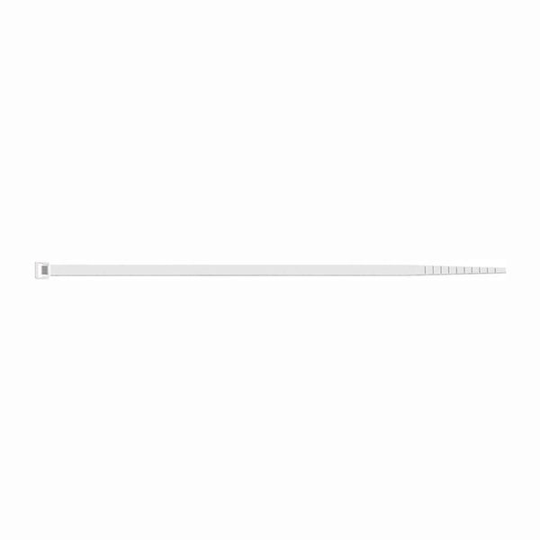 SAPISELCO 100x Kabelbinder Länge 100 mm Breite 2,5 mm natur - SEL.2.202