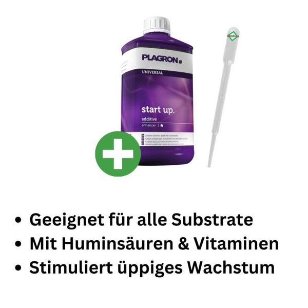 Plagron Start Up 100 ml – Mineralischer Dünger für Jungpflanzen & Stecklinge, optimales Wachstum, vielseitig einsetzbar mit Pipette für präzise Dosierung