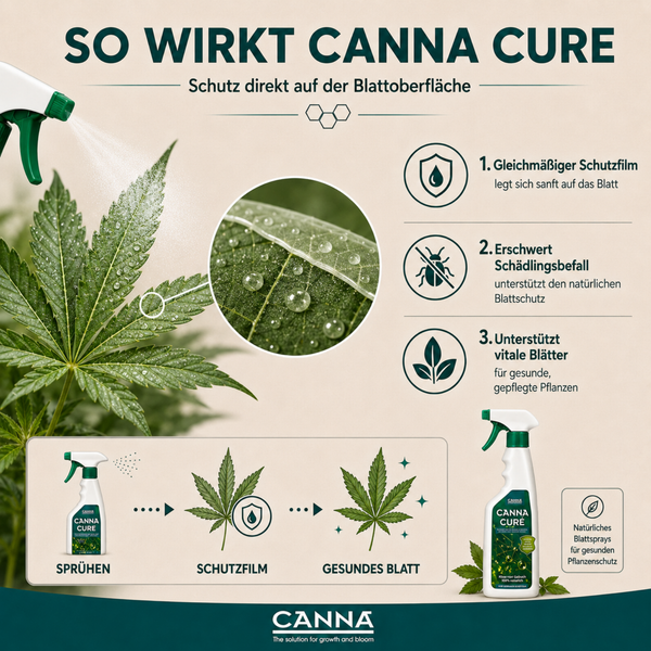 Infografik zur Anwendung und Wirkung von Canna Cure Pflanzenspray mit Darstellung der Schutzfilmbildung auf Cannabisblättern und Canna Logo.