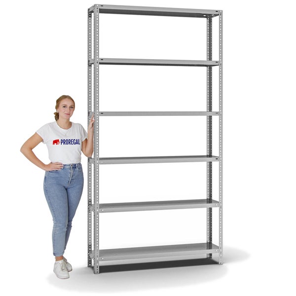 PROREGAL Fachbodenregal Schraubsystem Heavy-Duty Grundregal HxBxT 250 x 130 x 30 cm 6 Ebenen Fachlast 350 kg Beidseitig Nutzbar Verzinkt
