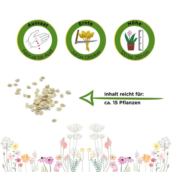 Piktogramme: Aussaat von Februar bis April, Ernte von Juli bis Oktober, Wuchshöhe 120 bis 250 Zentimeter. Inhalt reicht für circa 15 Pflanzen.