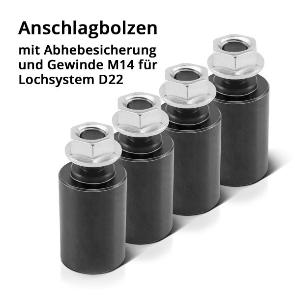 Spüle mit Abtropfgestell, Schneidebrett und Armatur auf einer Küchentheke mit Obst