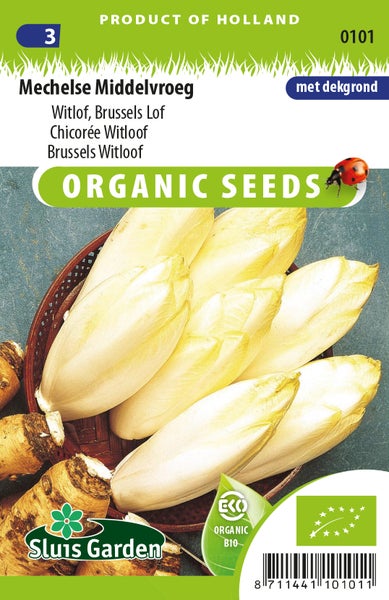 Mechelse Middelvroeg Zichoriensamen, Bio-Saatgut