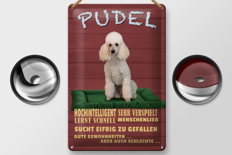 Blechschild Spruch 20x30cm Pudel hochintelligent lieb Hund