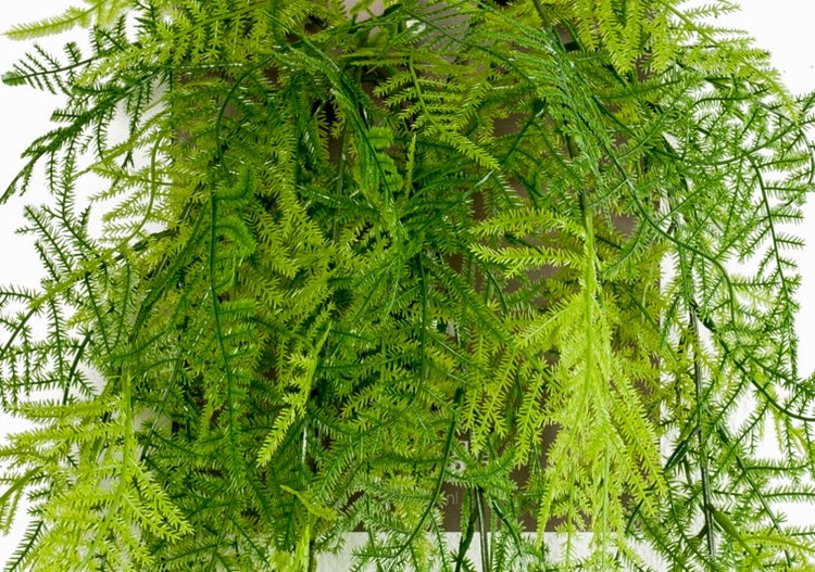 Künstliche Mandarine aus orangefarbenem Kunststoff zur Dekoration.