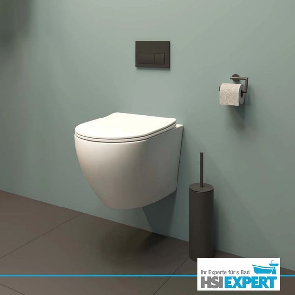 Wand-Tiefspülklosett mit Toilettenpapierhalter und Bürstengarnitur im Badezimmer