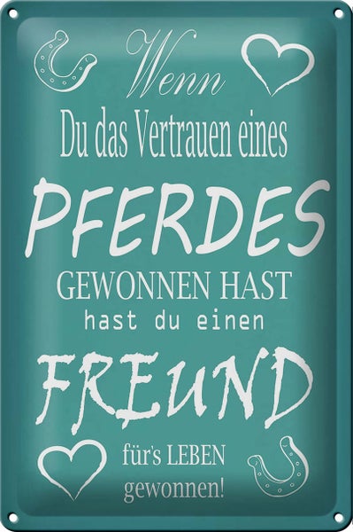 Blechschild Spruch 20x30cm Wenn du Vertrauen eines Pferd