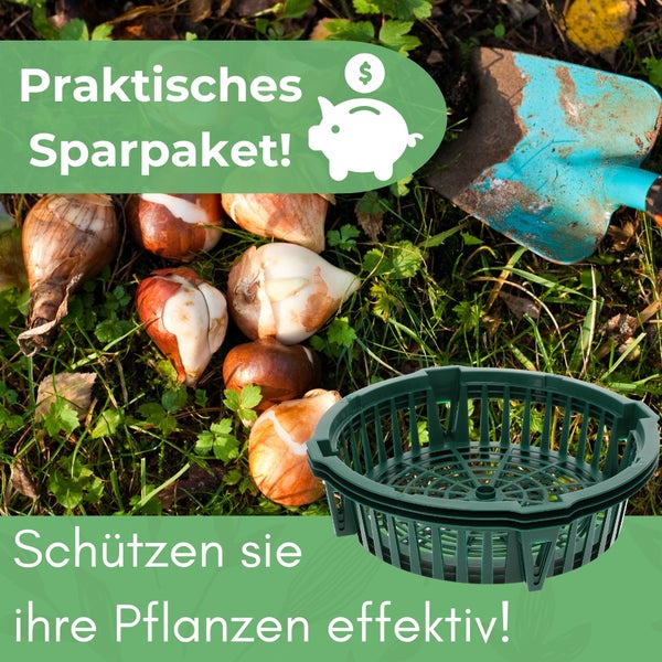 Sparpaket mit Blumenzwiebeln, Pflanzkörben und Gartenschaufel für den effektiven Pflanzenschutz