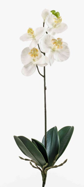 Künstlicher Olivenzweig mit grünen Blättern.