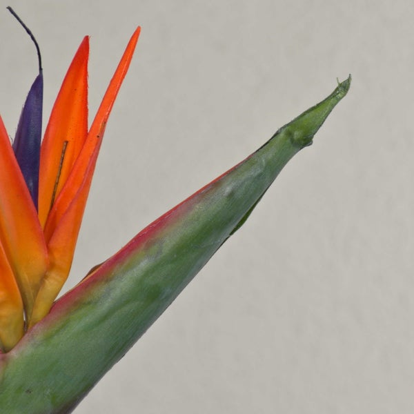 Künstliche Strelitzie MELIORN, orange-violett, 85cm - Kunst Strelitzie