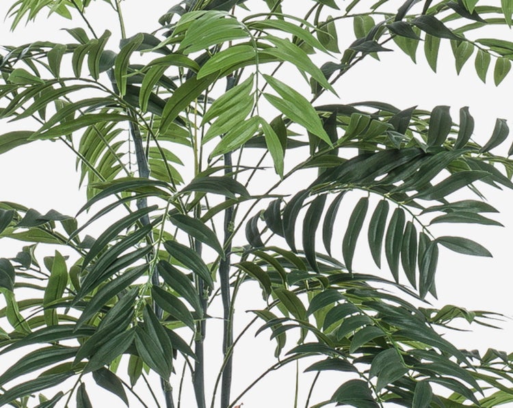Detailaufnahme der gefiederten Blätter einer künstlichen Palme.