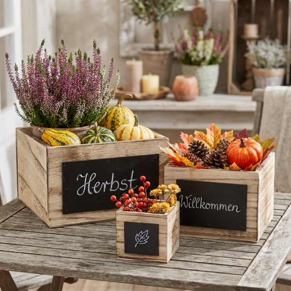 Drei rustikale Holzkisten mit Tafeloberfläche zur Herbstdekoration gefüllt mit Heidekraut, Zierkürbissen, Tannenzapfen und herbstlichen Kunstblumen.