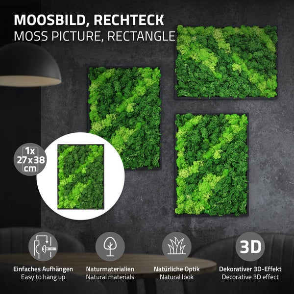 Rechteckiges Moosbild mit natürlichem 3D-Effekt, Maße 27 mal 38 Zentimeter, ideal als Wanddekoration aus Naturmaterialien.