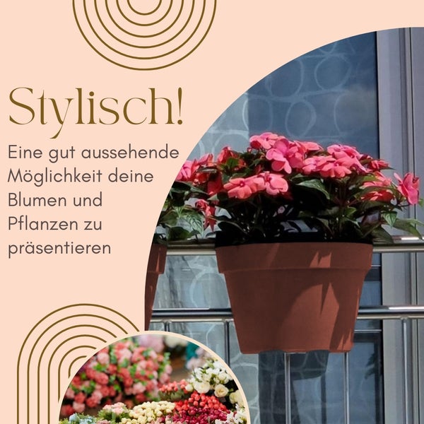 Blumen in Blumentöpfen auf Balkongeländer