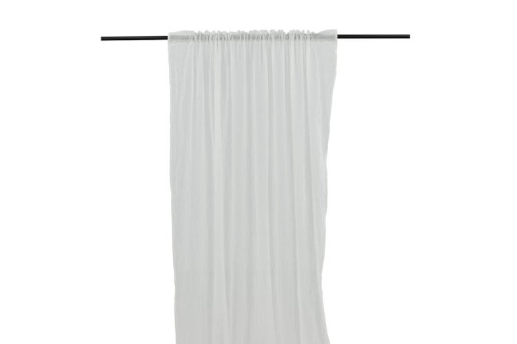 Zimmerpflanze im Topf, Höhe 20 bis 25 cm, Topfdurchmesser 10,5 cm