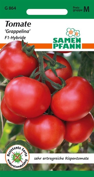 Tomatensamen Grappelina F1-Hybride der Marke Samen Pfann