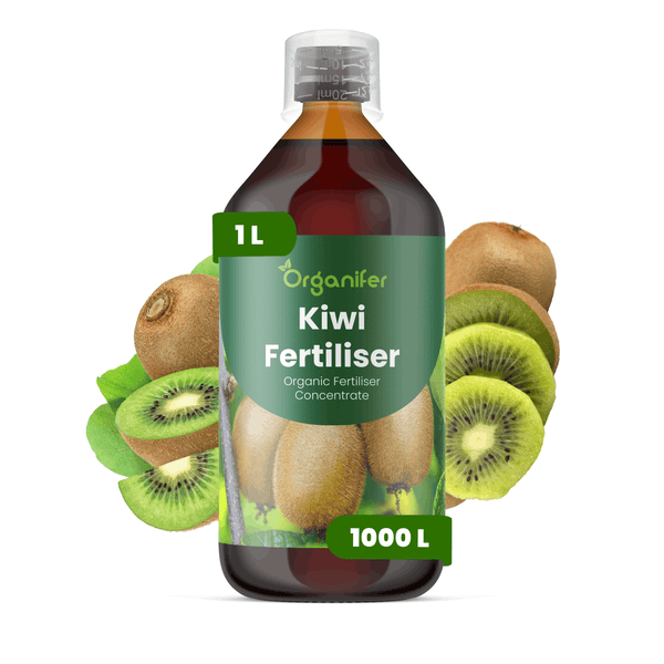 Organifer Kiwi Dünger, organisches Düngerkonzentrat in der 1 Liter Flasche mit Messkappe, Abbildung von Kiwis, ergibt 1000 Liter Düngermittel.