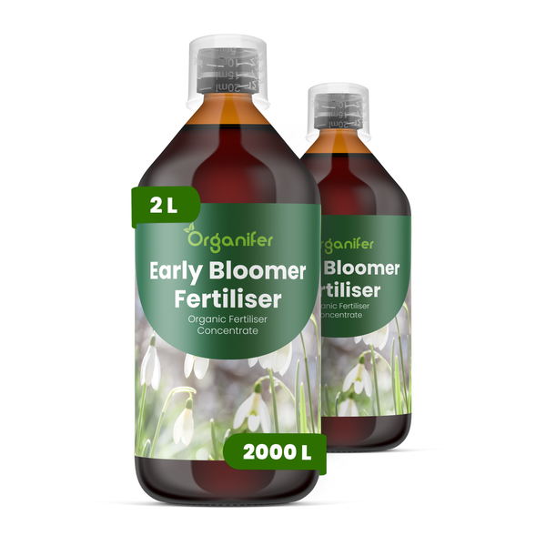 Zwei Flaschen Organifer Early Bloomer organischer Dünger Konzentrat, 2 Liter