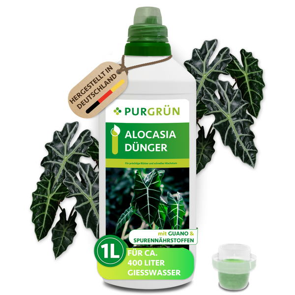 Eine Flasche Purgrün Alocasia Dünger mit Guano und Spurennährstoffen, 1 Liter Inhalt für circa 400 Liter Gießwasser, hergestellt in Deutschland.