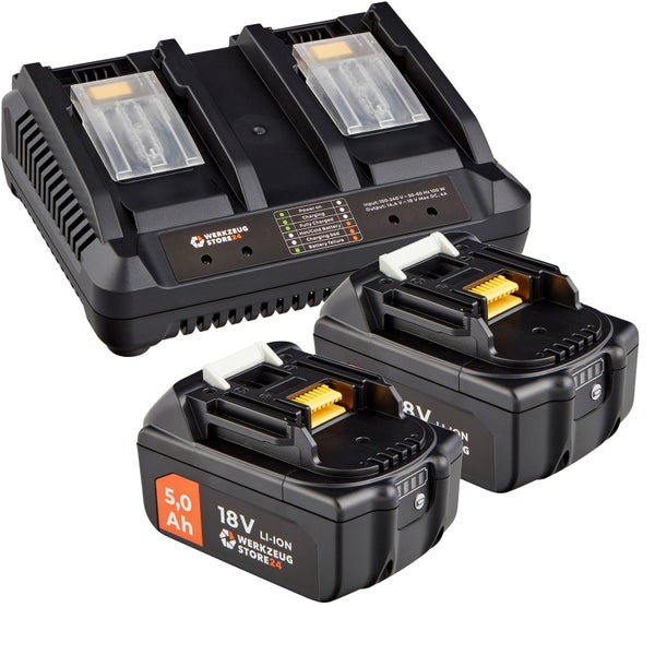 Werkzeug Store24 Doppel-Ladegerät mit zwei 18 Volt 5.0 Ah Akkus