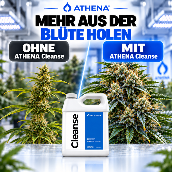 Athena Cleanse Reinigungsmittel fuer Bewaesserungssysteme in einer Kunststoffflasche mit Vorher Nachher Vergleich von Pflanzen.