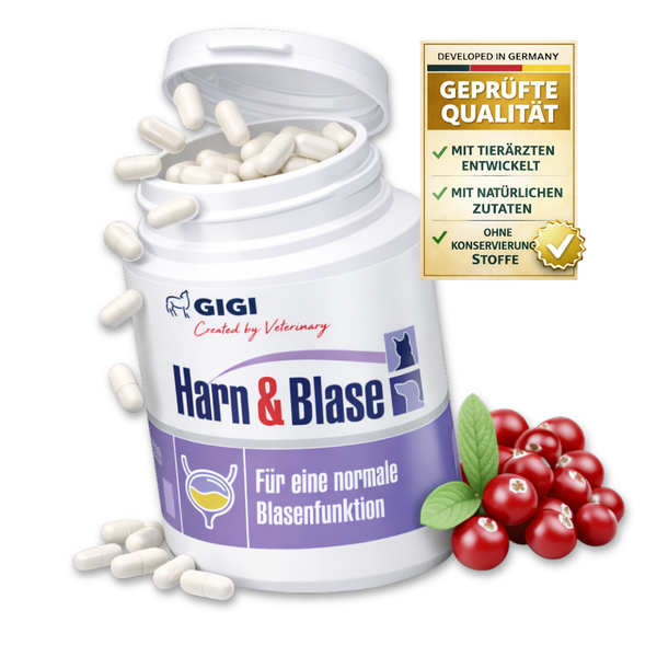 Gigi Harn und Blase Nahrungsergänzung für Haustiere mit Cranberries und Kapseln. In Deutschland entwickelt mit natürlichen Inhaltsstoffen.