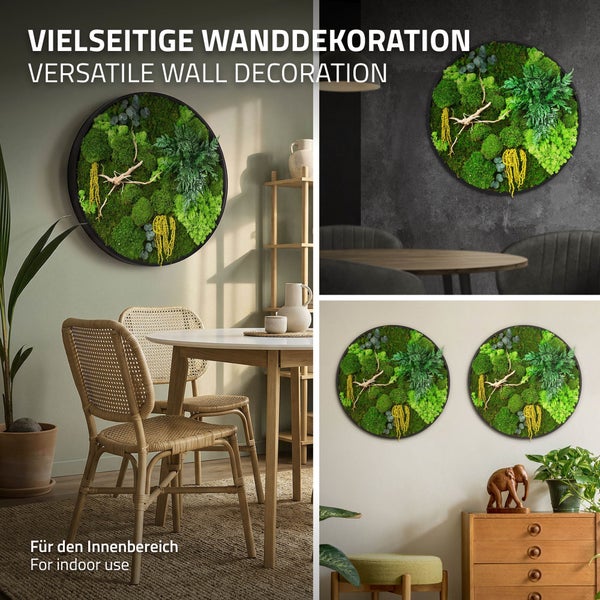 Rundes Wandbild aus konserviertem Moos und Pflanzen in einem schwarzen Rahmen als dekoratives Element für den Innenbereich.