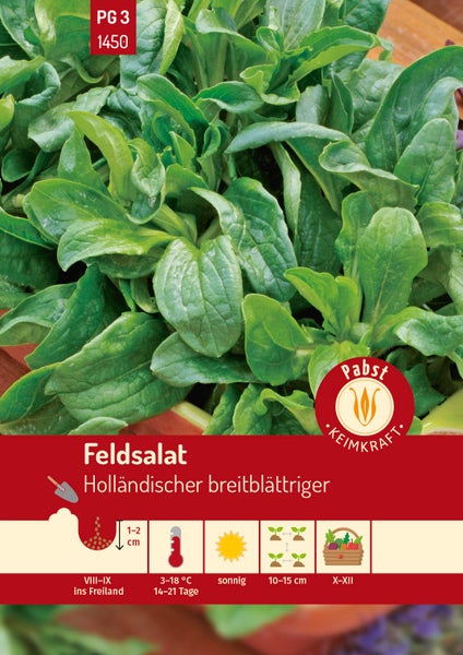Rückseite einer Samentüte Carl Pabst Feldsalat Holländischer breitblättriger mit Infos zu Aussaat und Ernte. Carl Pabst Logo, TEKWEST Logo.