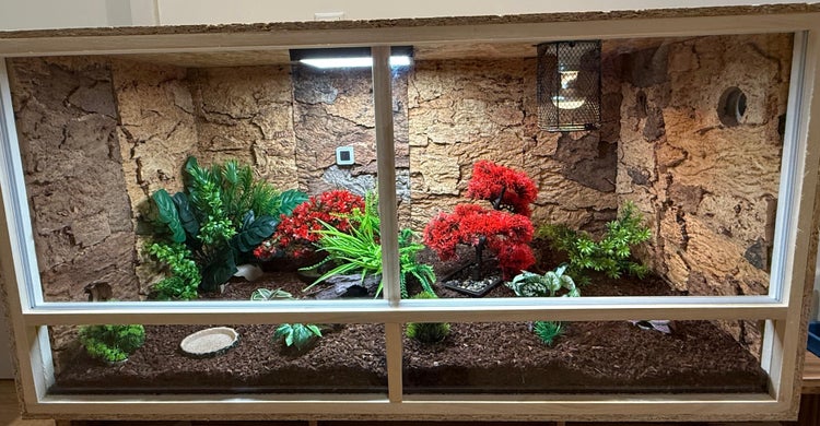 Terrarium aus Holz mit strukturierter Korkrückwand, künstlichen Pflanzen, Beleuchtung und Bodengrund.