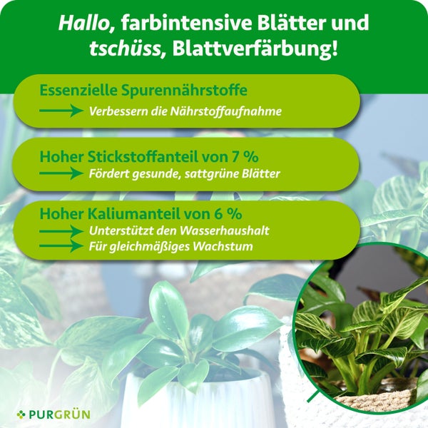 Purgrün Logo. Infografik zu Pflanzendünger für farbintensive Blätter mit Spurennährstoffen, 7 Prozent Stickstoff und 6 Prozent Kalium.