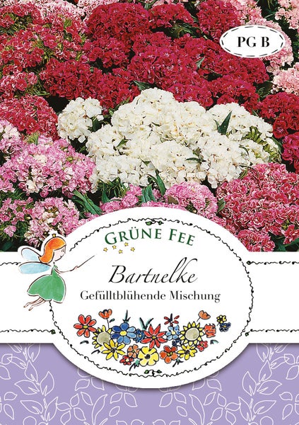 Samentüte Grüne Fee Bartnelke Gefülltblühende Mischung mit roten, weißen und rosa Blüten.