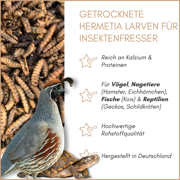 Getrocknete Hermetia Larven als Ergänzungsfuttermittel für Vögel, Nagetiere, Fische und Reptilien, reich an Kalzium und Proteinen.