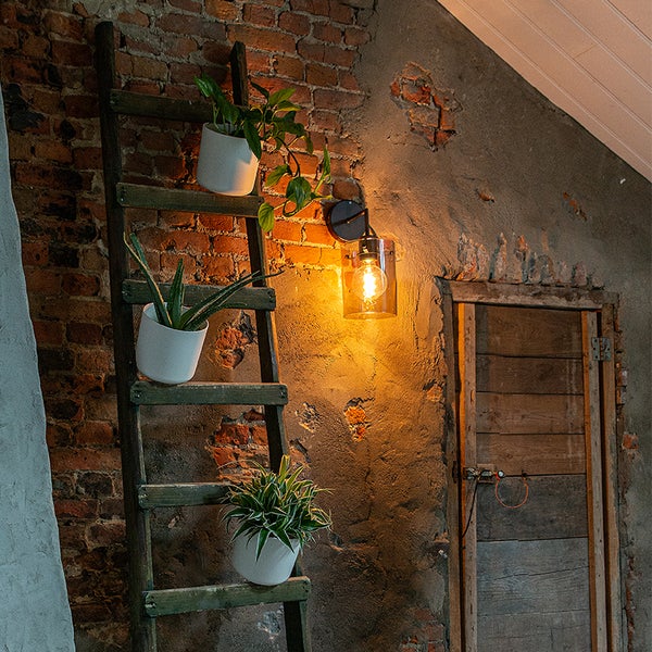 Wandleuchte beleuchtet Leiter mit Pflanzen vor Backsteinmauer und Holztür
