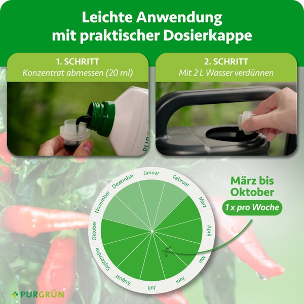 Purgrün Dünger Anwendung: 20 Milliliter Konzentrat abmessen, mit 2 Litern Wasser verdünnen. Anwendung von März bis Oktober einmal wöchentlich.