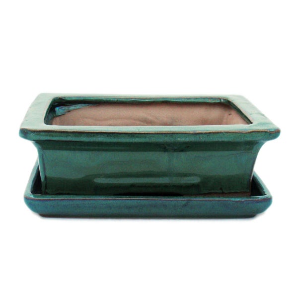 Rechteckige, grüne Bonsaischale aus glasierter Keramik mit passendem Untersetzer.