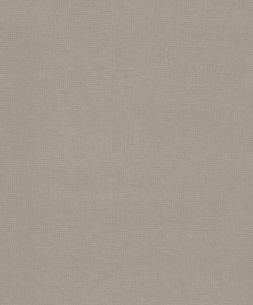 Blauer Zapfen einer Koreatanne mit grünen Nadeln