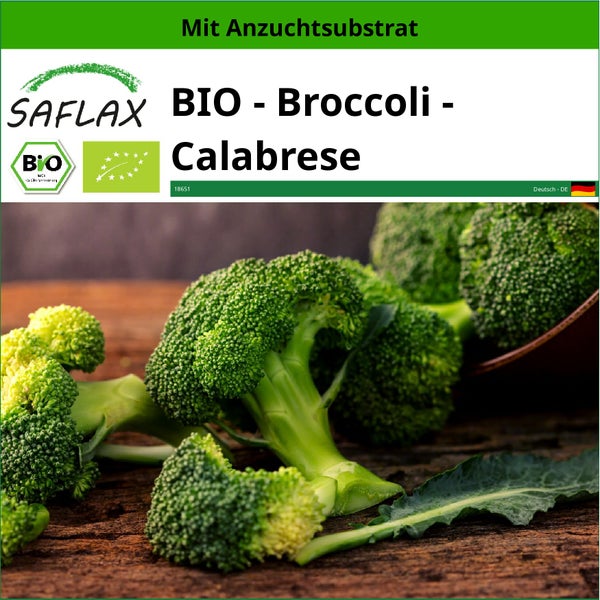 SAFLAX  - BIO - Broccoli - Calabrese - Brassica oleracea - 100 Samen - Mit keimfreiem Anzuchtsubstrat