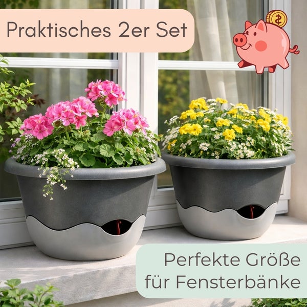 Zwei zweifarbige Blumentöpfe aus Kunststoff mit Bewässerungssystem auf einer Fensterbank, bepflanzt mit Blumen.