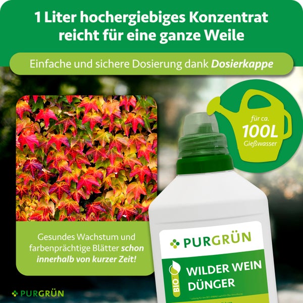 Anleitung für Flüssigdünger: 20 Milliliter mit Dosierkappe abmessen, mit 2 Liter Wasser verdünnen, von März bis Oktober wöchentlich anwenden.